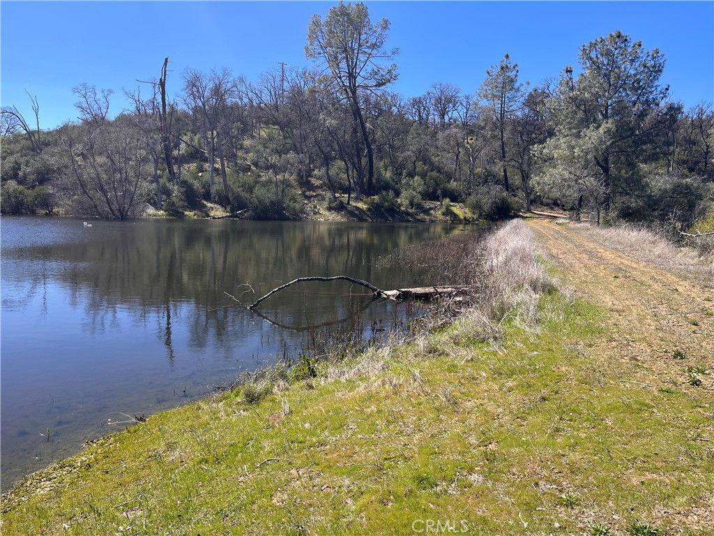 23523 Morgan Valley Road Lower Lake, CA 95457 - Photo 13 of 45 a view of a lake from a yard