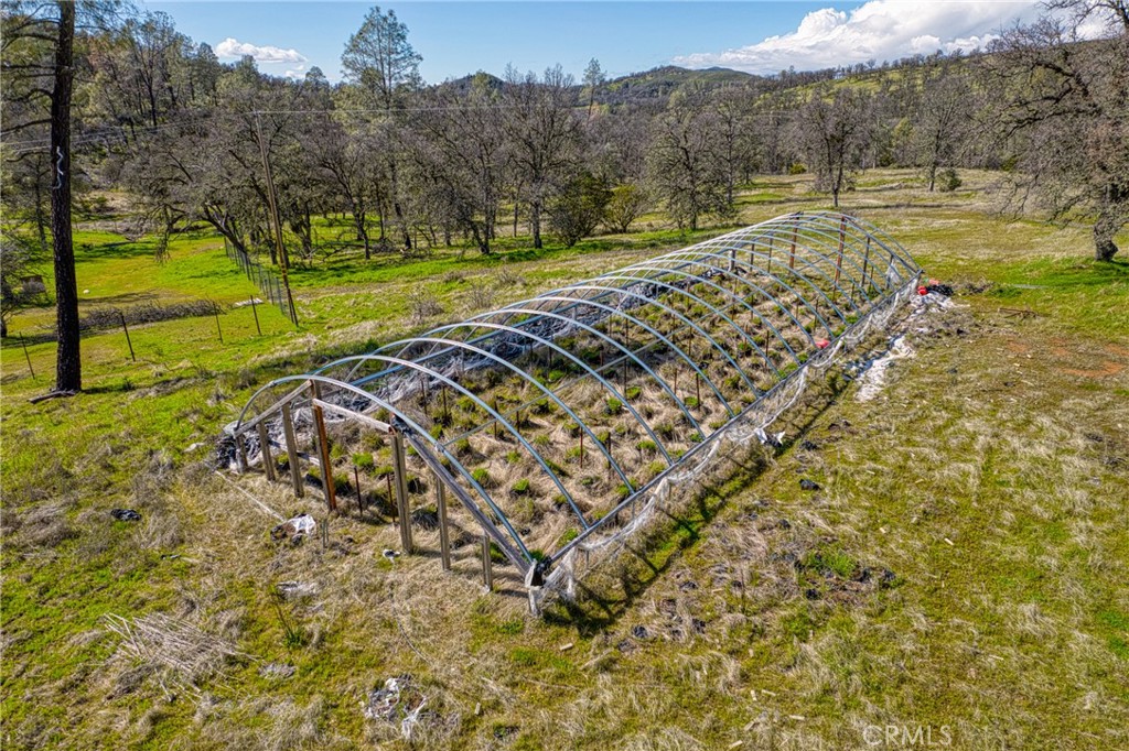23523 Morgan Valley Road Lower Lake, CA 95457 - Photo 33 of 45 a view of a yard with an outdoor space