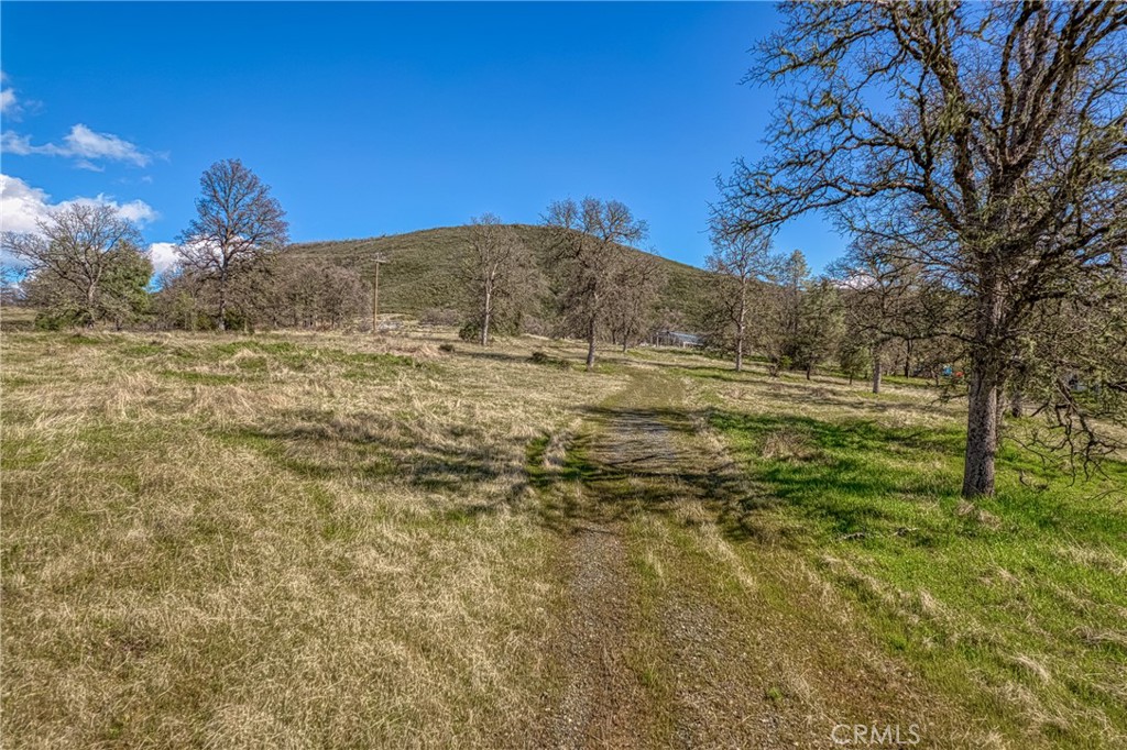 23523 Morgan Valley Road Lower Lake, CA 95457 - Photo 39 of 45 a view of a field with a tree in the background