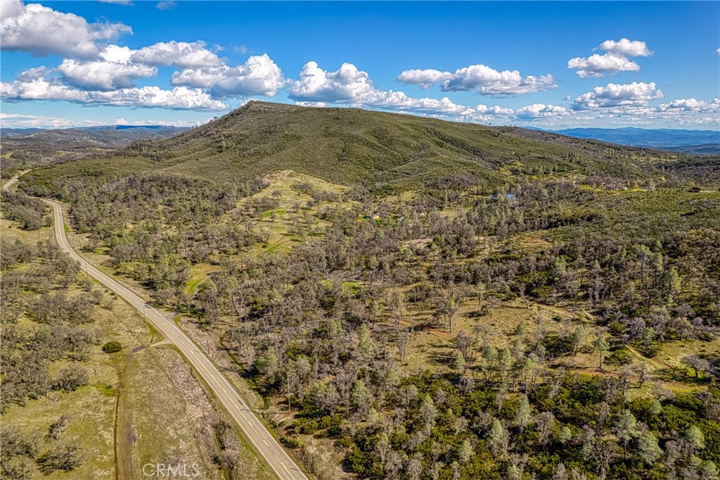 23523 Morgan Valley Road Lower Lake, CA 95457 - Photo 44 of 45 a view of a pathway both side of yard