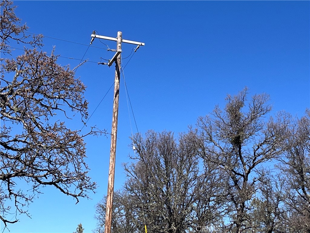 23523 Morgan Valley Road Lower Lake, CA 95457 - Photo 7 of 45 a view of a yard with a tree