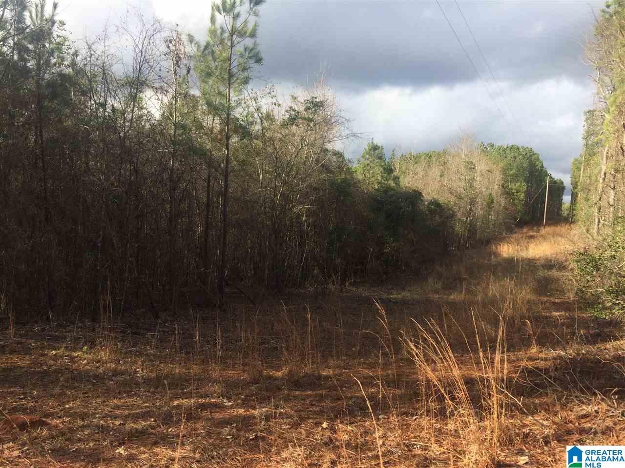 0 Gardner Road, Unit 1 Dadeville, AL 36853 - Photo 2 of 4