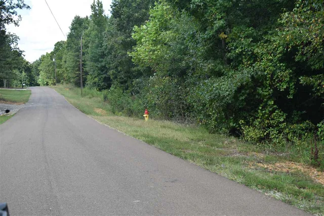 a view of a street with a trees