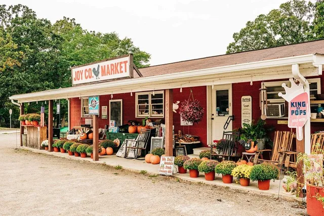 $524,086 | 754 Winding Rose Drive, Hoschton, GA 30548