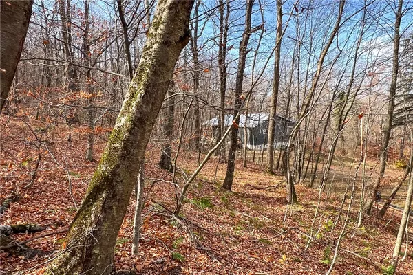 $339,000 | 464 Curtis Lane, Hamden, NY 13856