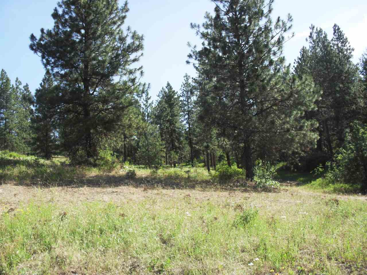 Xxx Arden Butte Road Colville, WA 99114 - Photo 1 of 8
