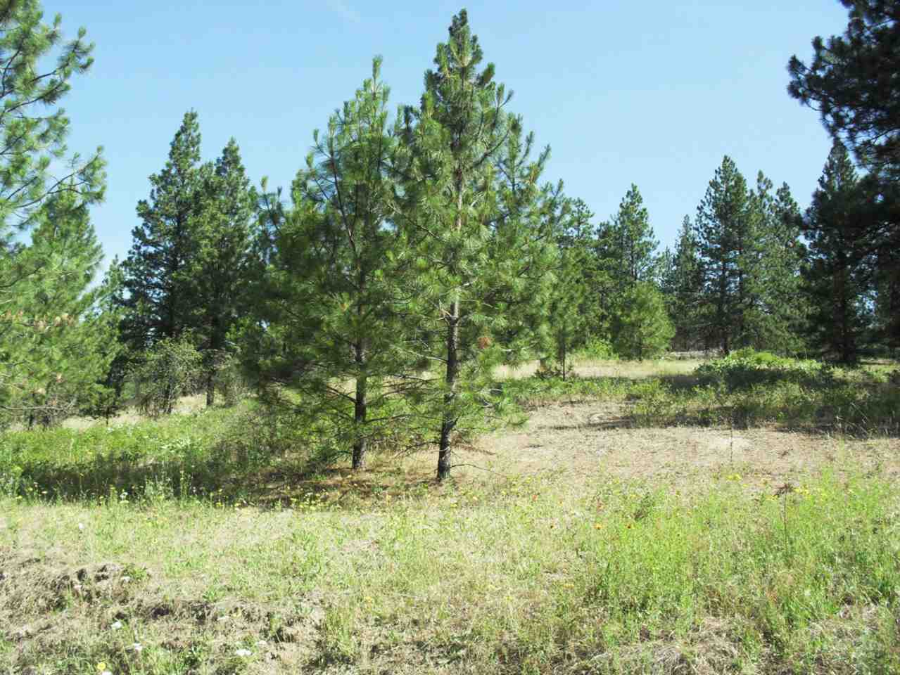 Xxx Arden Butte Road Colville, WA 99114 - Photo 2 of 8