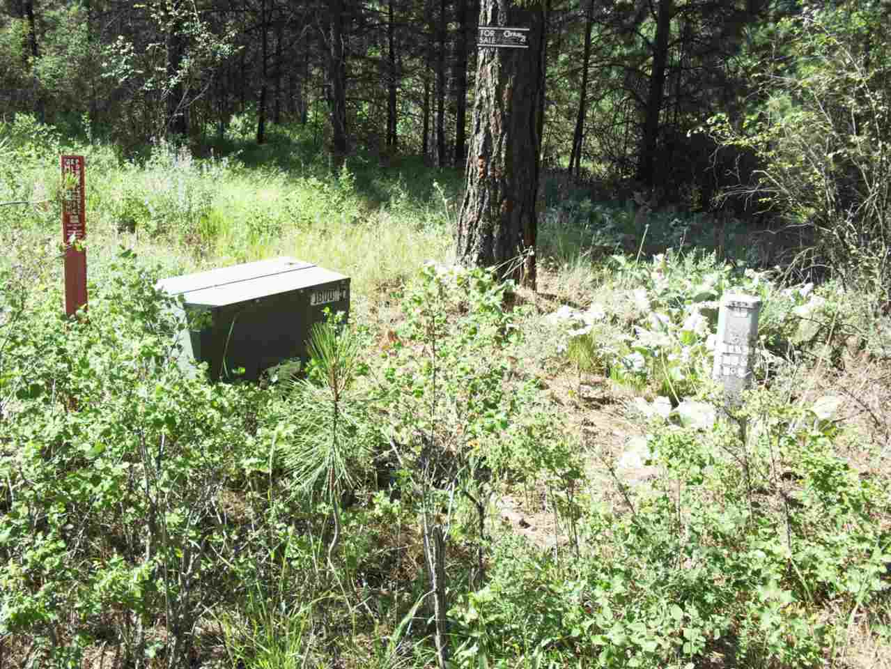 Xxx Arden Butte Road Colville, WA 99114 - Photo 4 of 8