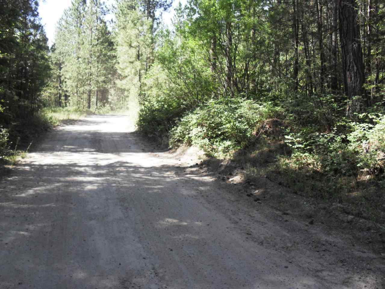Xxx Arden Butte Road Colville, WA 99114 - Photo 5 of 8