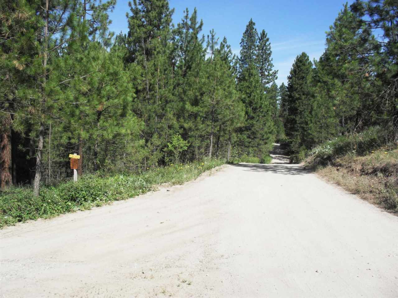 Xxx Arden Butte Road Colville, WA 99114 - Photo 6 of 8