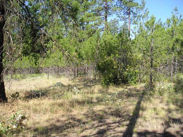 Xxx Arden Butte Road Colville, WA 99114 - Photo 7 of 8