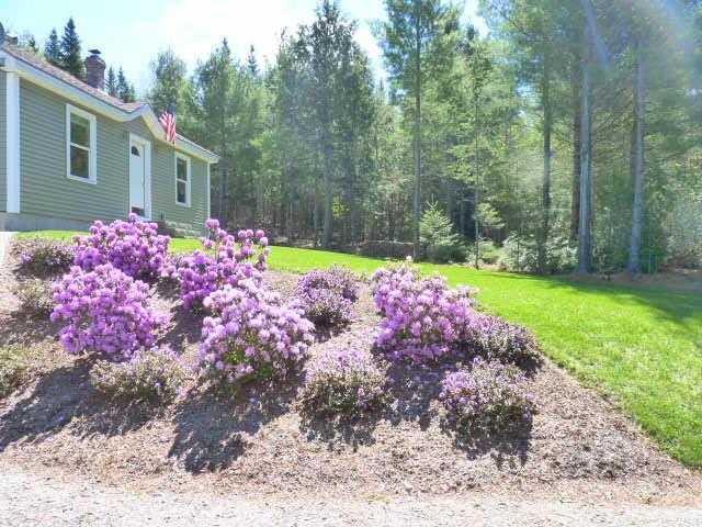 1941 Mariaville Road Ellsworth, ME 04605 - Photo 8 of 31 Yard/Garden.