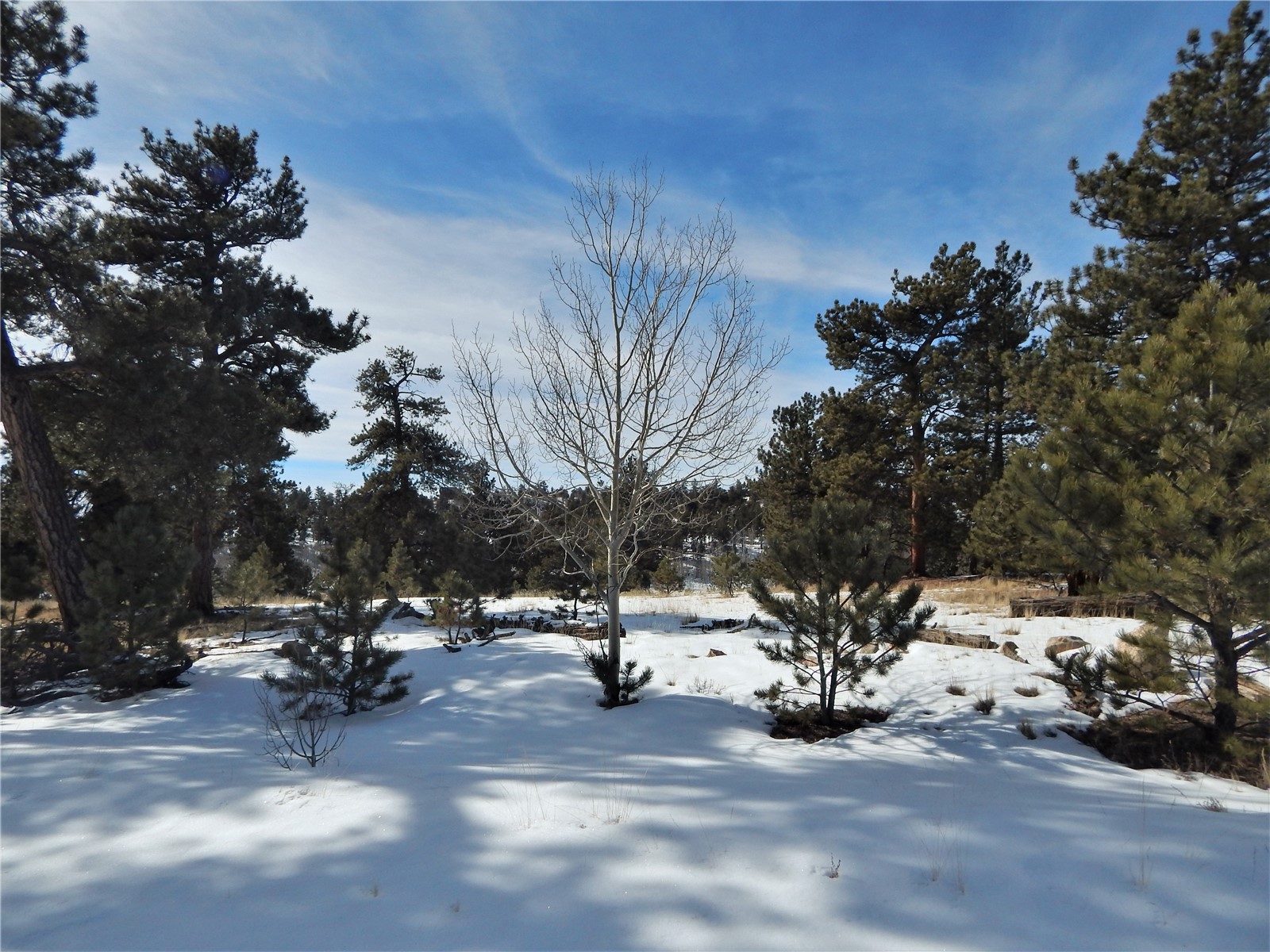 2126 Yellowstone Road Hartsel, CO 80449 - Photo 13 of 15 Gallery Image 13