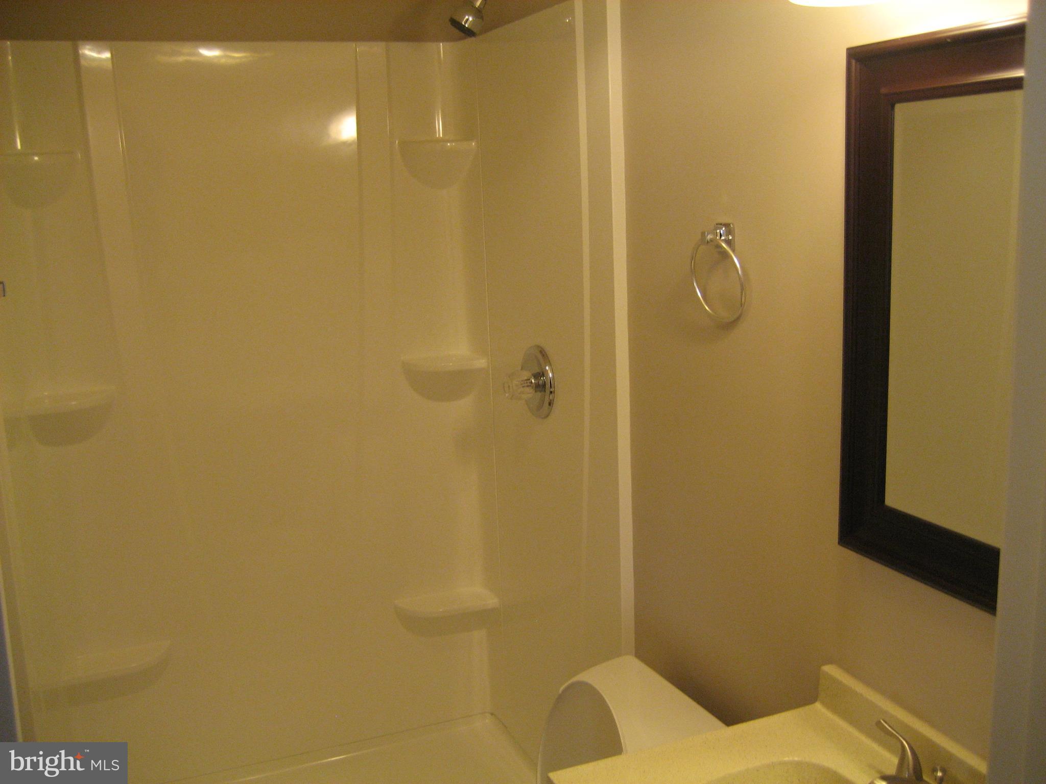 8708 Temple Hill Road Clinton, MD 20735 - Photo 42 of 46 Basement Bathroom