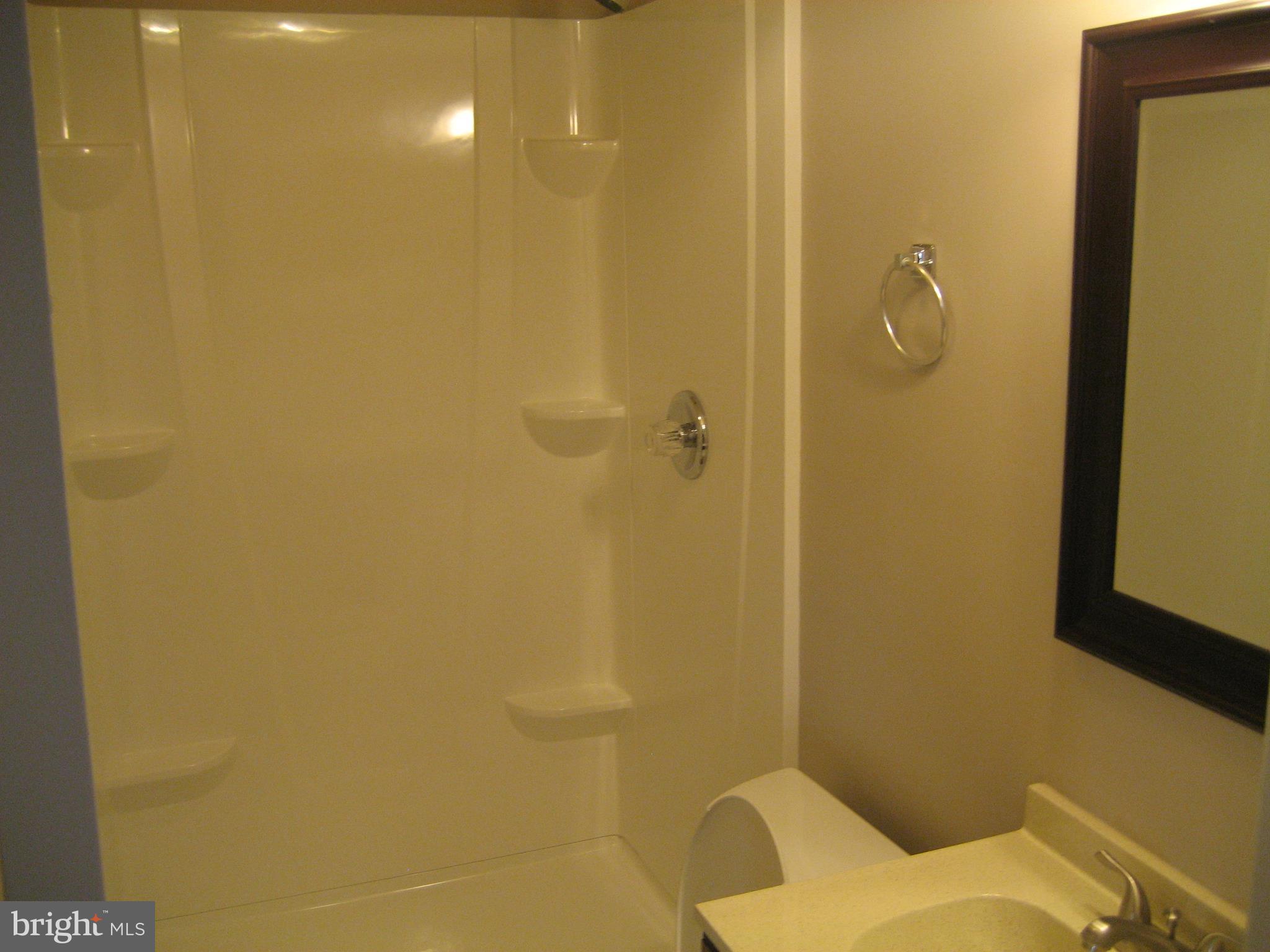 8708 Temple Hill Road Clinton, MD 20735 - Photo 44 of 46 Basement Bathroom
