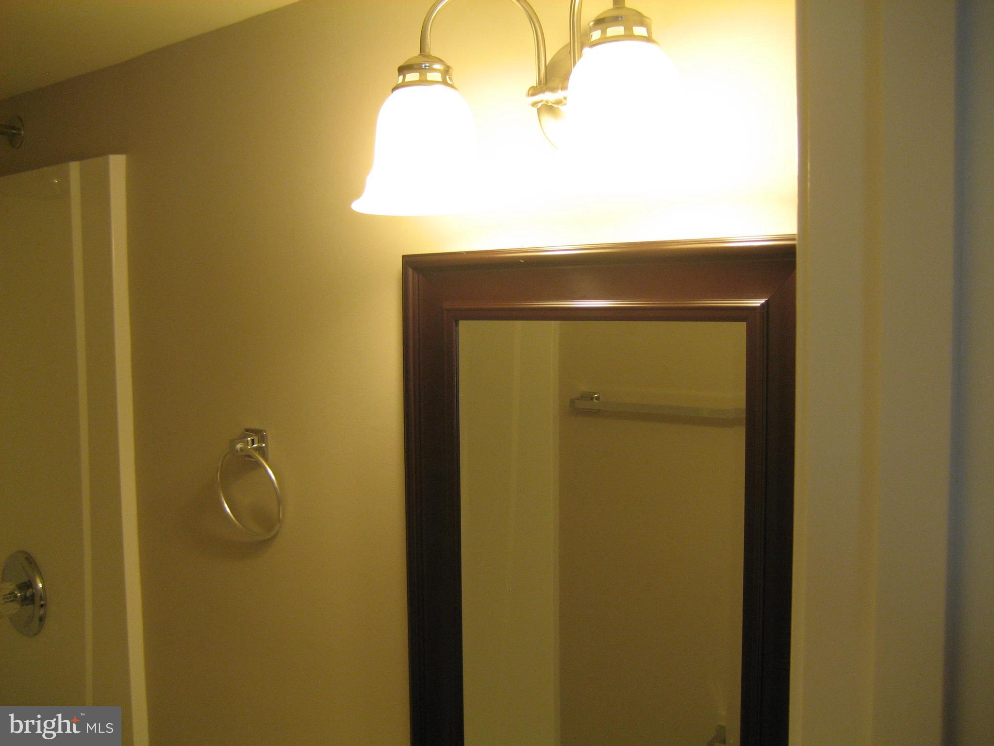 8708 Temple Hill Road Clinton, MD 20735 - Photo 46 of 46 Basement Bathroom