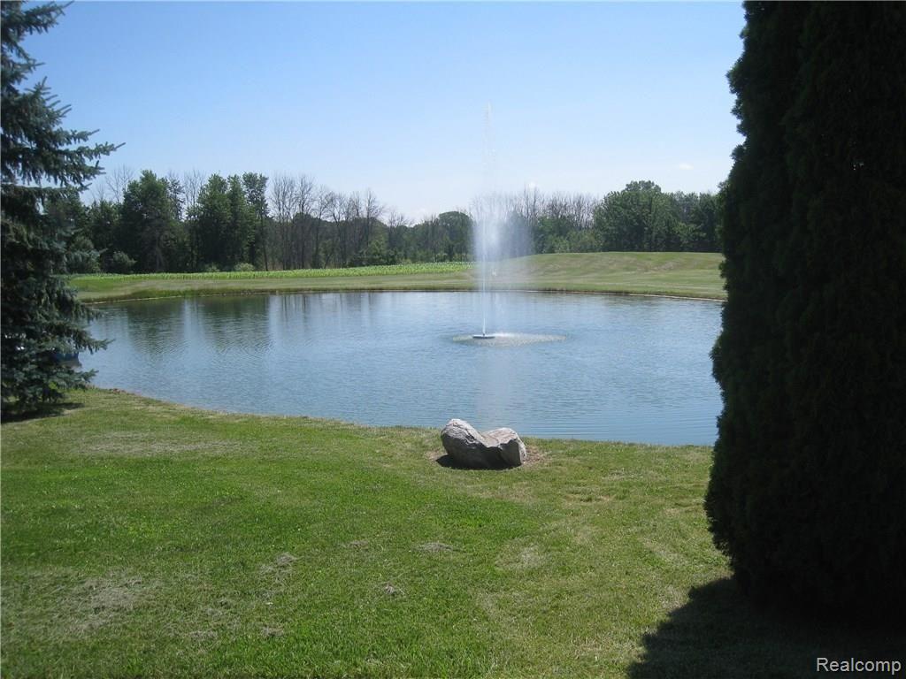 1243 Barnes Road Mayville, MI 48744 - Photo 42 of 45 2013-07-12 00.06