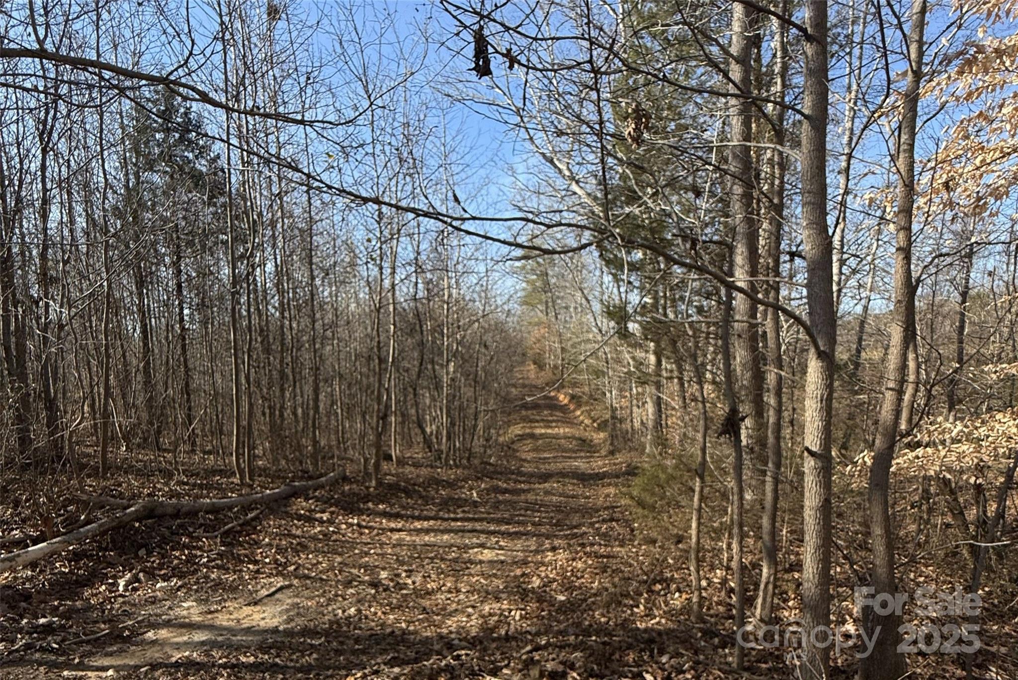 Lot D Ramah Church Road Blacksburg, SC 29702 - Photo 6 of 12 a view of a backyard of the house