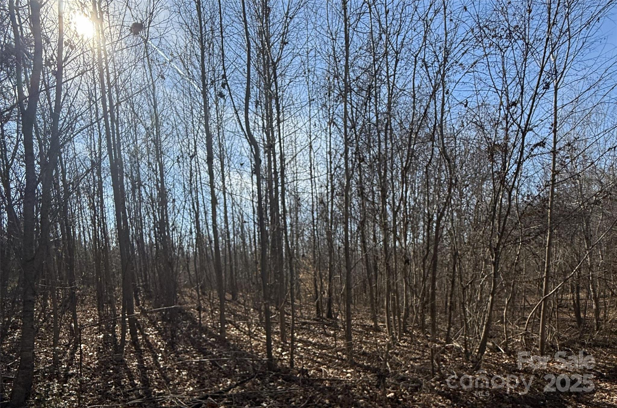 Lot D Ramah Church Road Blacksburg, SC 29702 - Photo 7 of 12 a view of a backyard