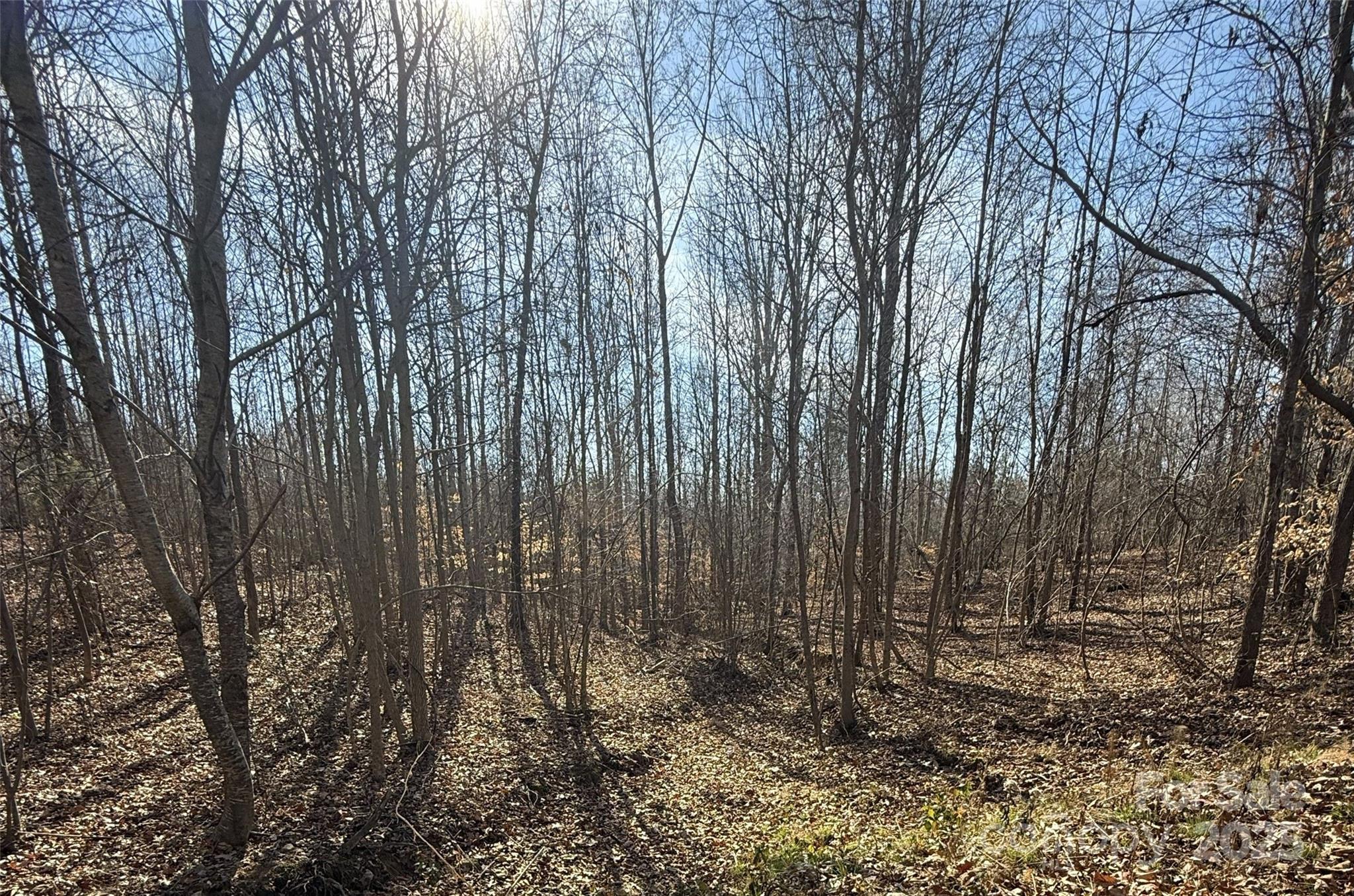 Lot D Ramah Church Road Blacksburg, SC 29702 - Photo 8 of 12 a view of a yard with large trees