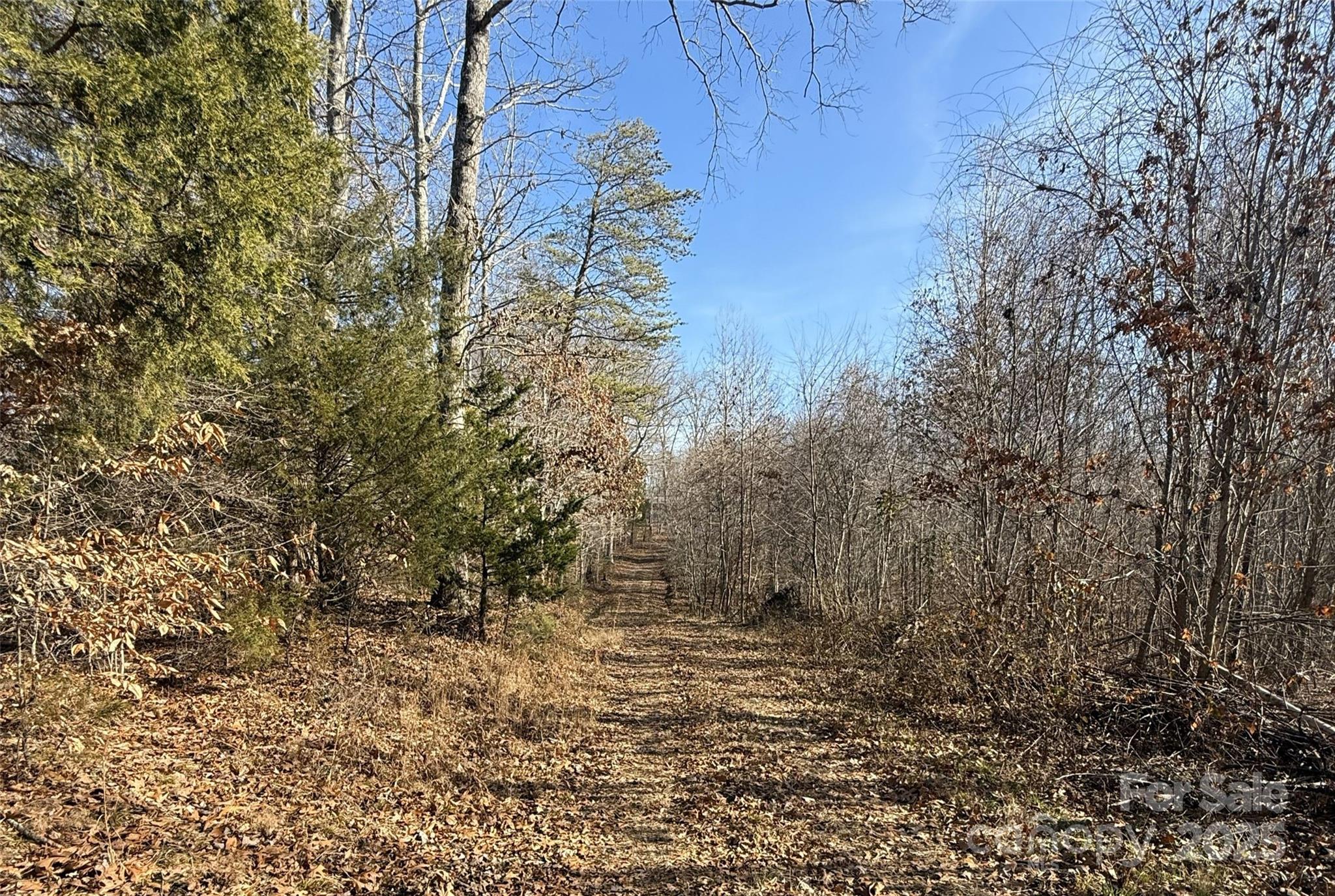 Lot D Ramah Church Road Blacksburg, SC 29702 - Photo 9 of 12 a view of a yard with plants and wooden fence