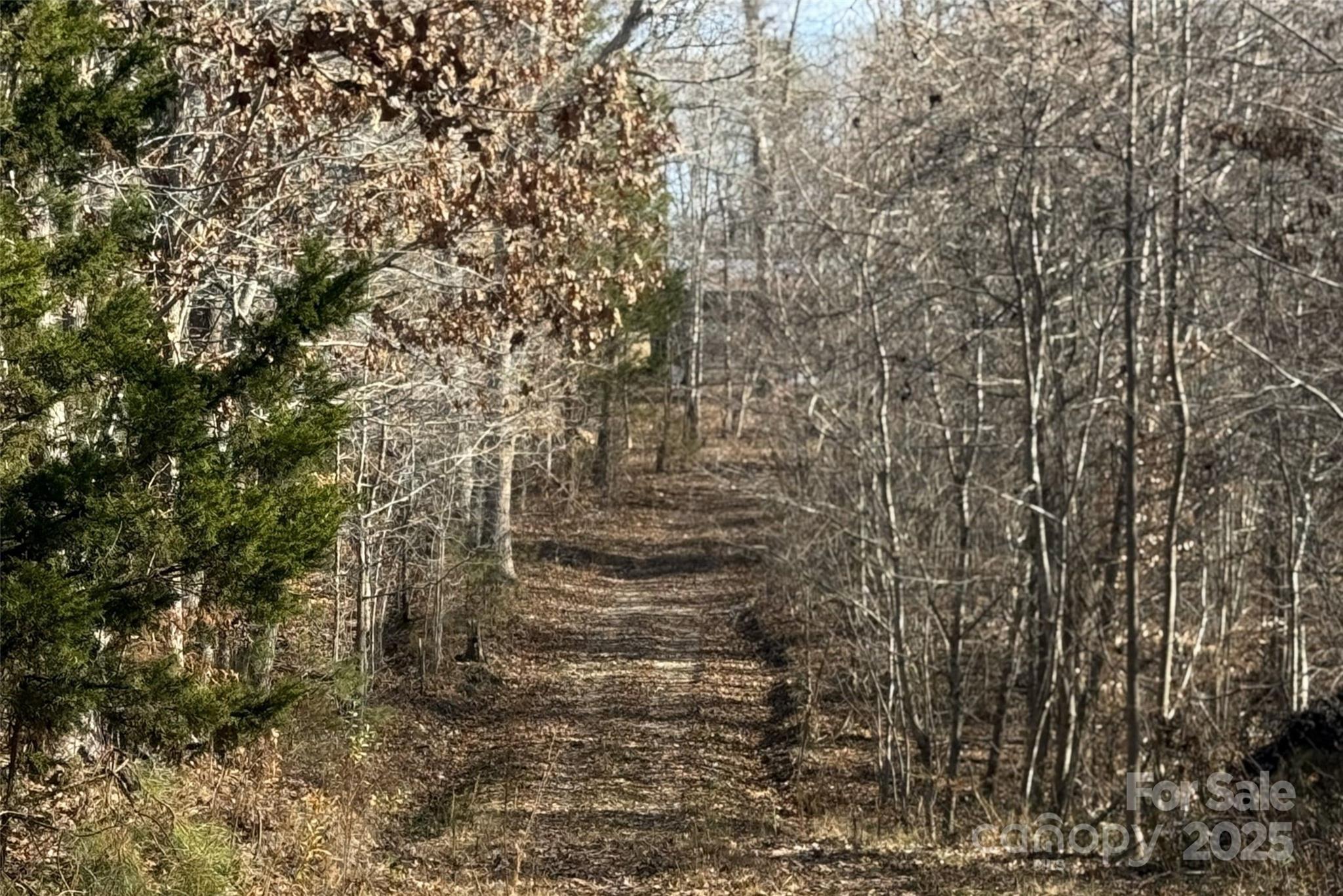 Lot D Ramah Church Road Blacksburg, SC 29702 - Photo 10 of 12 a bathroom with a shower
