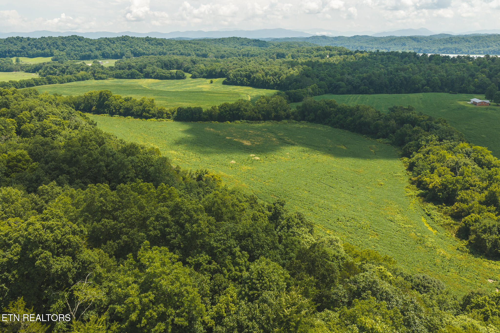 114-acres South Mohawk Road Midway, TN 37809 - Photo 4 of 49 DJI_20260707145248_0441_D - Copy (2)