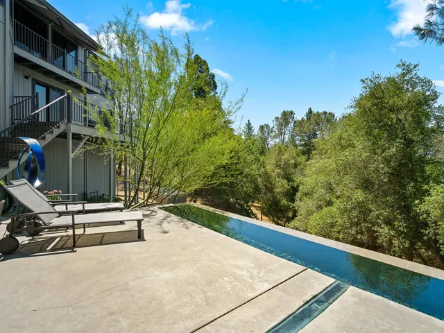 a view of a garden with pathway
