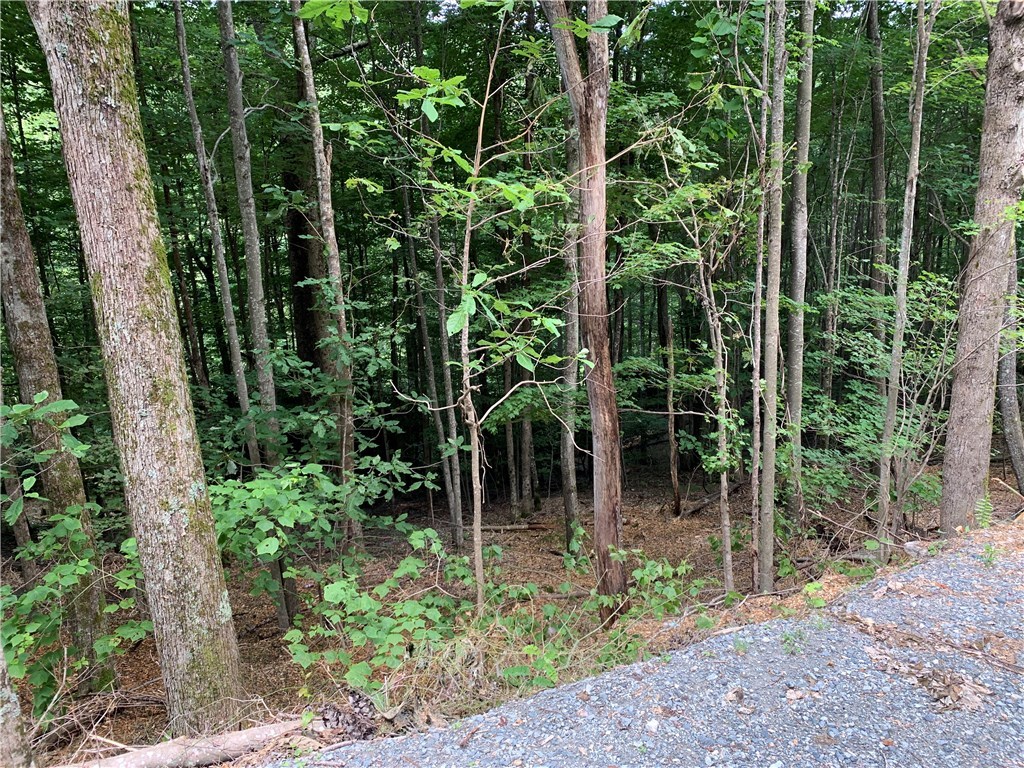 203 Locust Ridge Road Beech Mountain, NC 28604 - Photo 3 of 8 a view of outdoor space and garden