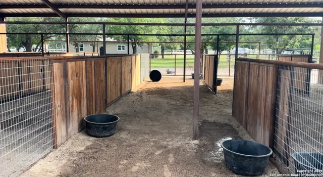 a view of a park with large trees