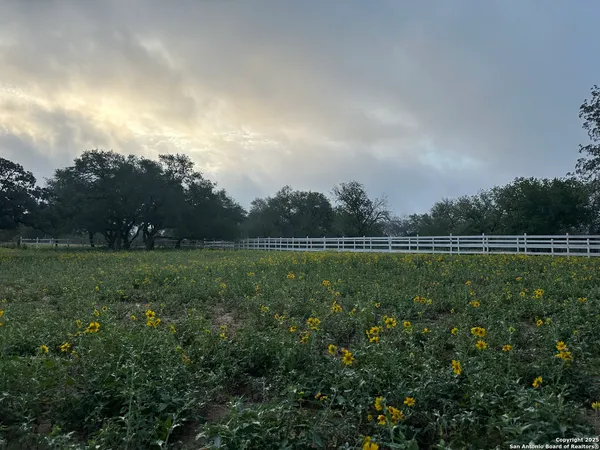 a view of park space