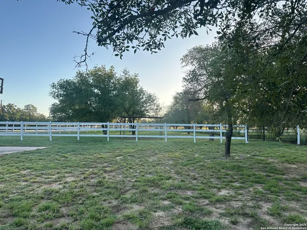 a garden with trees in the background