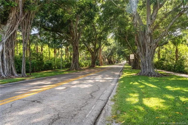 a view of a yard with large trees