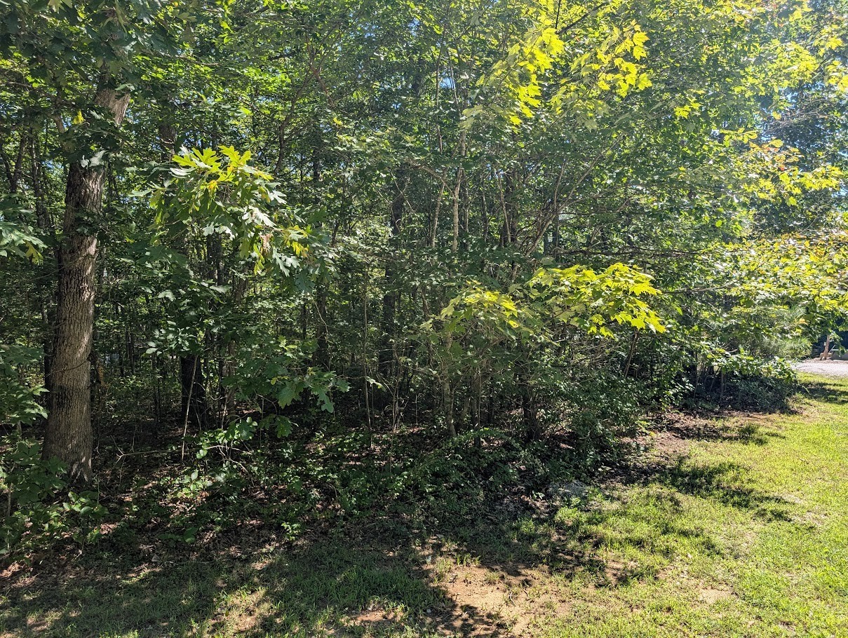 140 Sunset Bluff Monteagle, TN 37356 - Photo 28 of 28