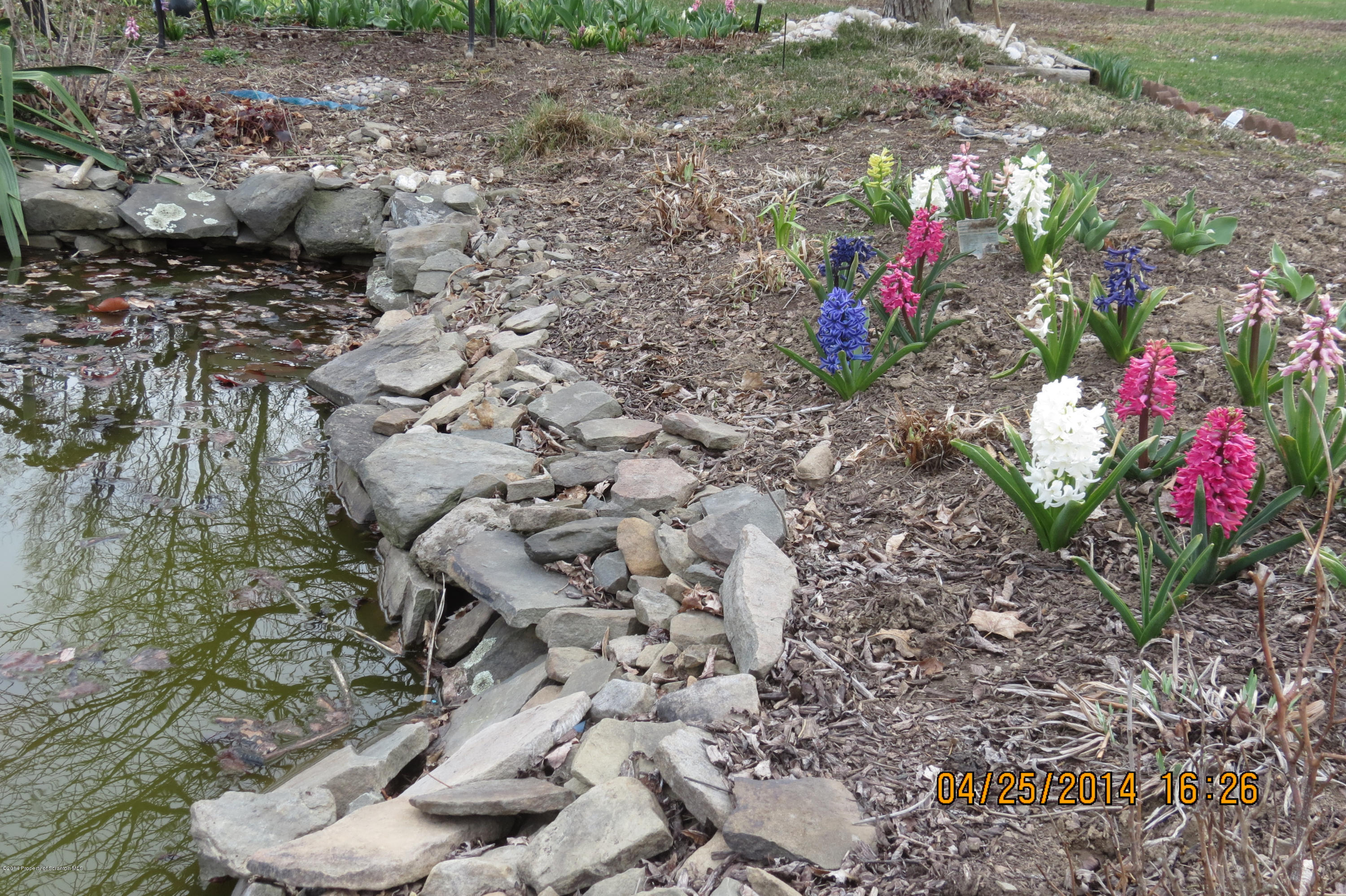 5300 Jubilee Road Moscow, PA 18444 - Photo 3 of 10