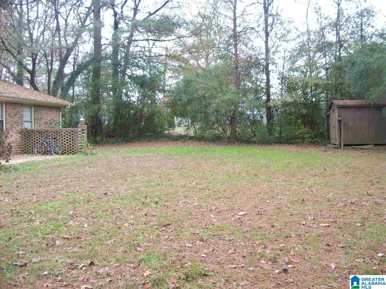 105 Tumblin Mill Road Heflin, AL 36264 - Photo 3 of 9