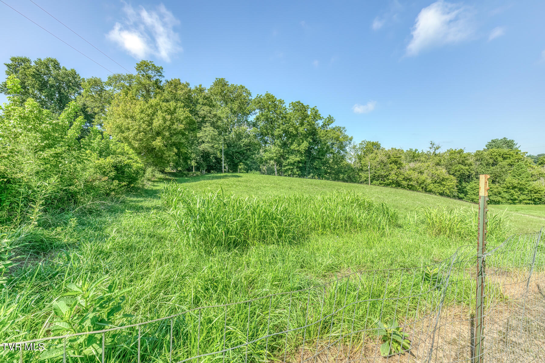 419 Kitzmiller Road Gray, TN 37615 - Photo 62 of 94 419 Kitzmiller Rd-79