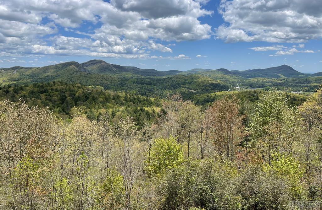 490 Kerry Hill Road Cashiers, NC 28717 - Photo 39 of 45 Gallery Image 39