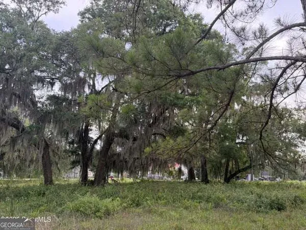 $45,900 | 119 Sapelo Circle, Unit LOT #38, Darien, GA 31305
