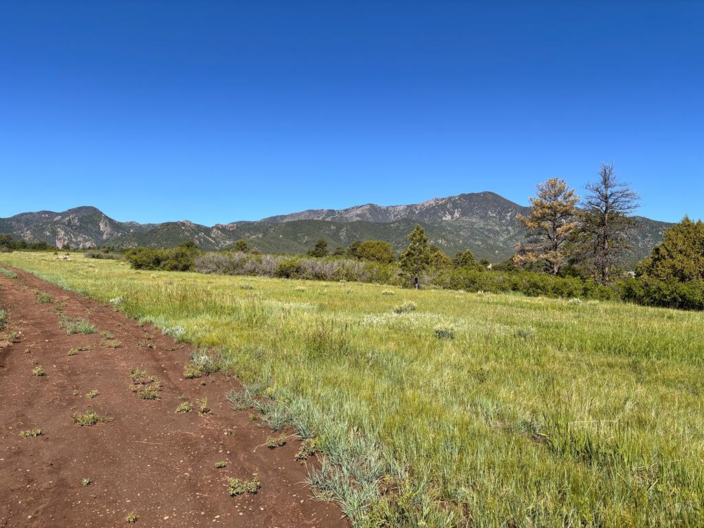 1445 County Road 671 Rye, CO 81069 - Photo 5 of 36