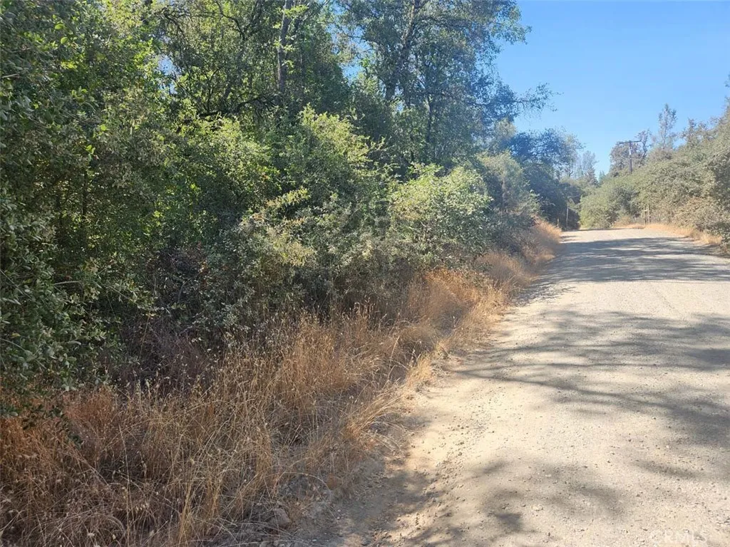 47 Texas Hill Road Oregon House, CA 95962 - Photo 13 of 22 a view of a yard with a tree