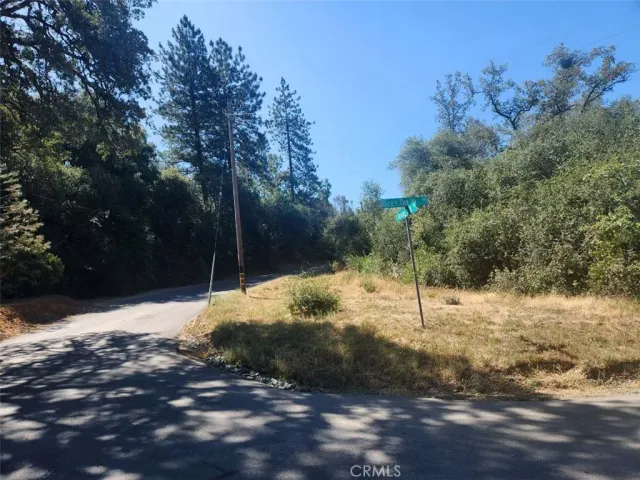 a view of a yard with trees