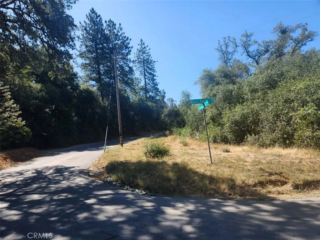47 Texas Hill Road Oregon House, CA 95962 - Photo 4 of 22 a view of a yard with trees