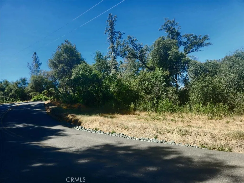 47 Texas Hill Road Oregon House, CA 95962 - Photo 10 of 22 a view of a yard street