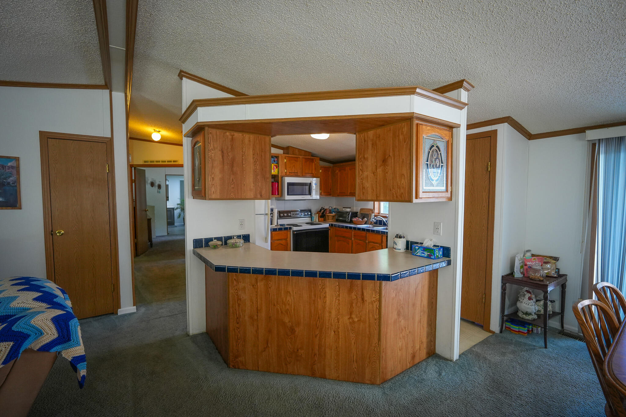 9339 Maple Hill Road Howard City, MI 49329 - Photo 9 of 42 DSC00559