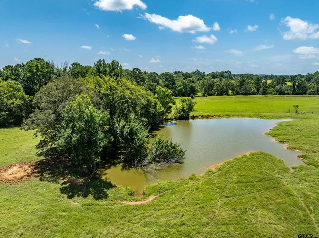 $301,753 | 592 Acr 379, Palestine, TX 75801