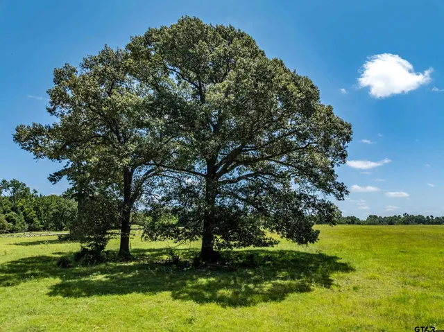 $301,753 | 592 Acr 379, Palestine, TX 75801