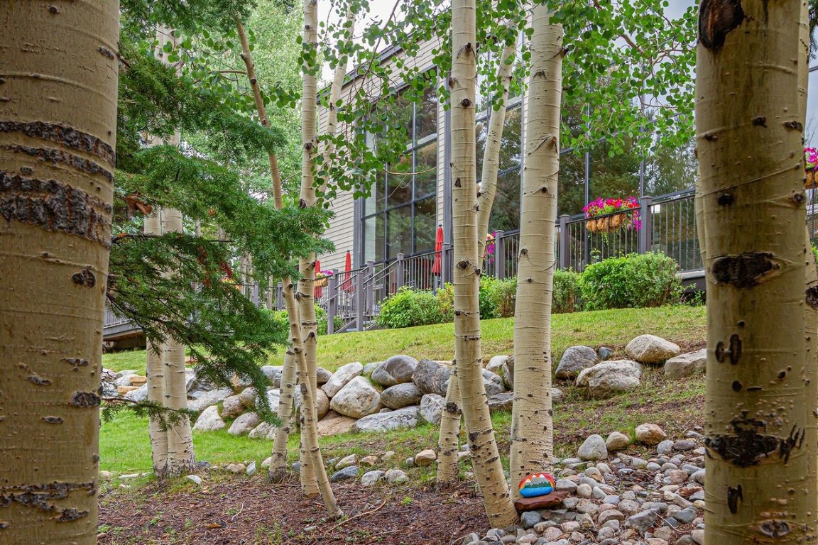 21650 Highway 6, Unit 2110 Keystone, CO 80435 - Photo 6 of 26 a view of a two chairs and table in a backyard