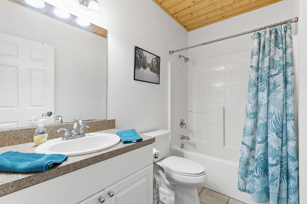 358 Misty River Circle Murphy, NC 28906 - Photo 35 of 62 a bathroom with a granite countertop sink a toilet a mirror and shower