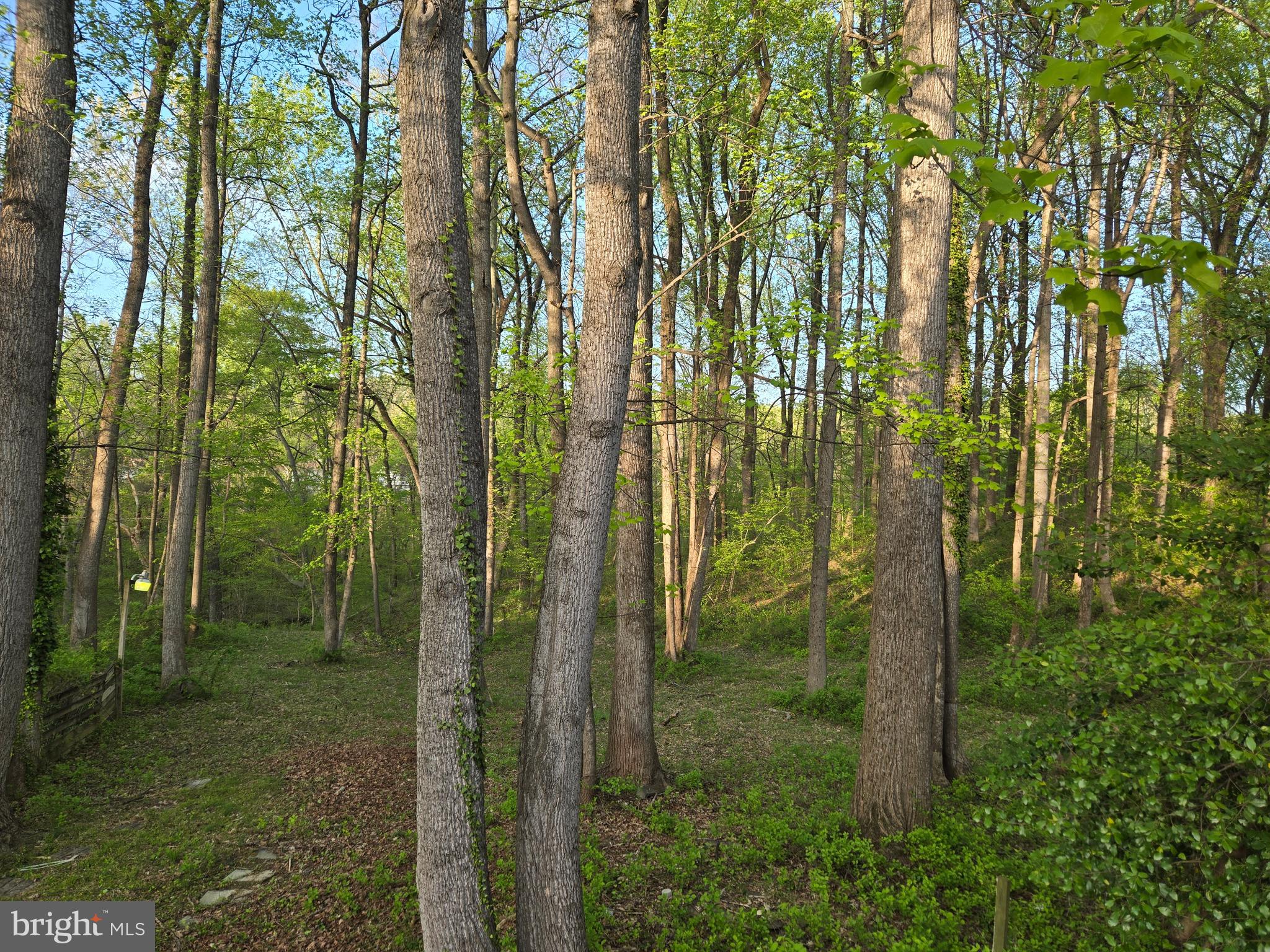 1610 Portland Avenue Fort Washington, MD 20744 - Photo 78 of 79